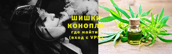 сатива Киреевск