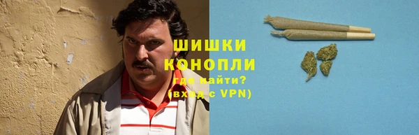 сатива Киреевск