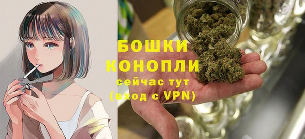 сатива Киреевск
