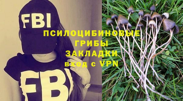 сатива Киреевск