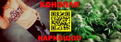 сатива Кулебаки