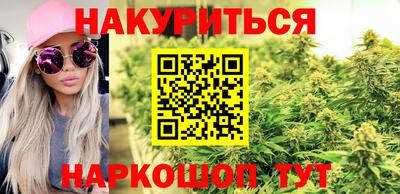 сатива Кулебаки