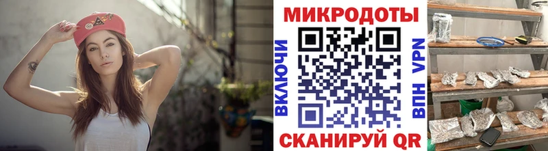 Галлюциногенные грибы Psilocybine cubensis  Кулебаки 